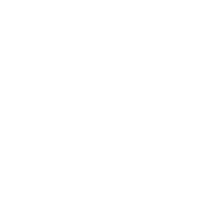 Das Icon zeigt eine Handfläche mit Herz als Darstellung der User Engagement die im Rahmen des Audits untersucht wird.