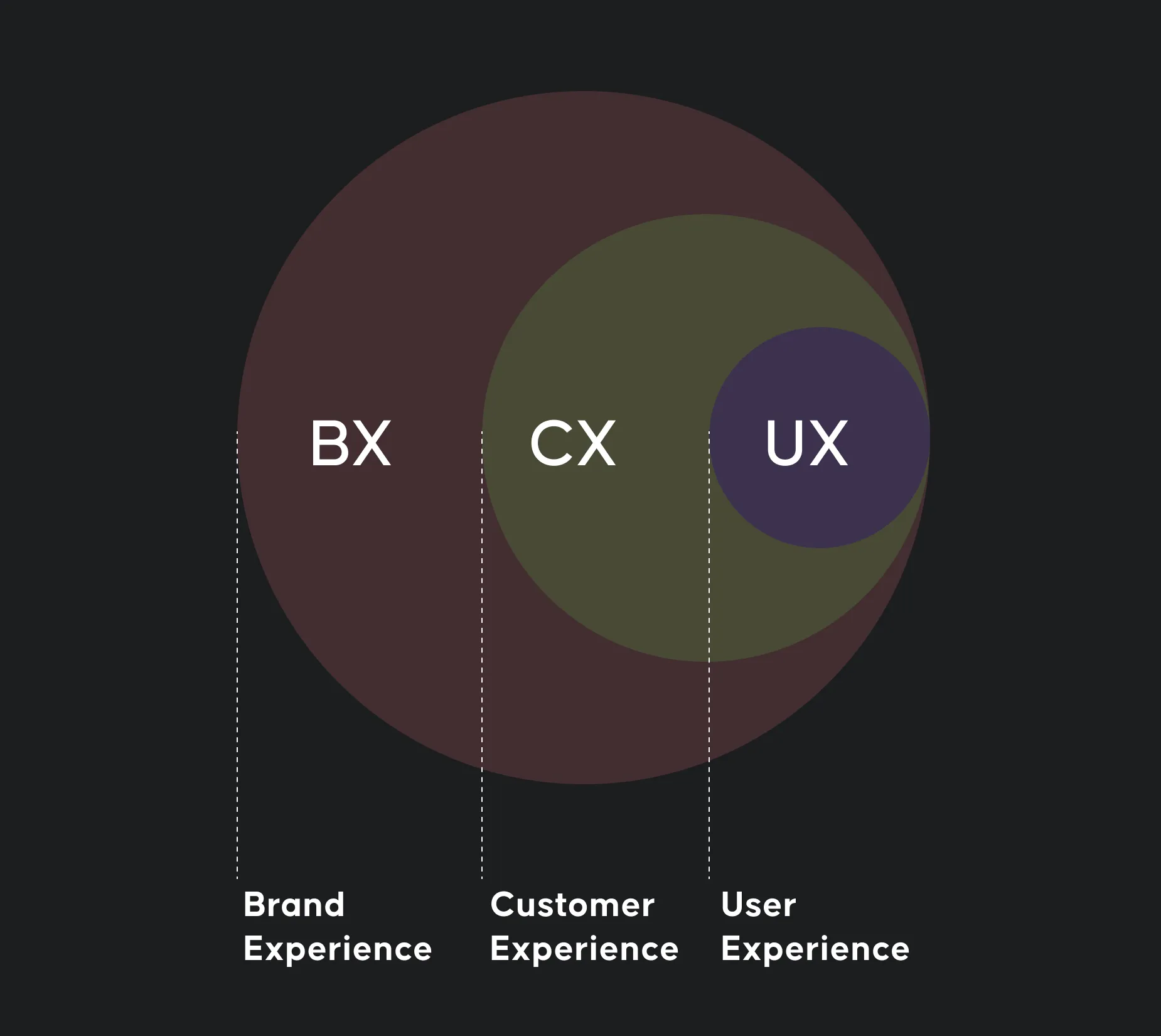 Schematische Darstellung der Brand Experience welche Customer Experience und User Experience als Teil der Markenstrategie beinhält.