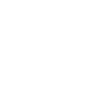 Das Icon zeigt exepmplarisch ein Tortendiagramm der Audit Ergebnisse.