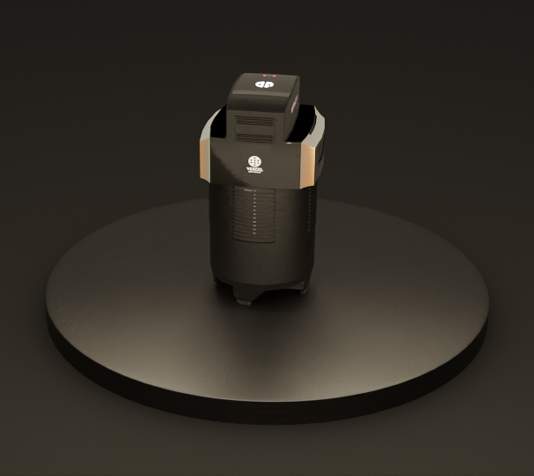 Vexcel Imaging Rendering - Dunkel