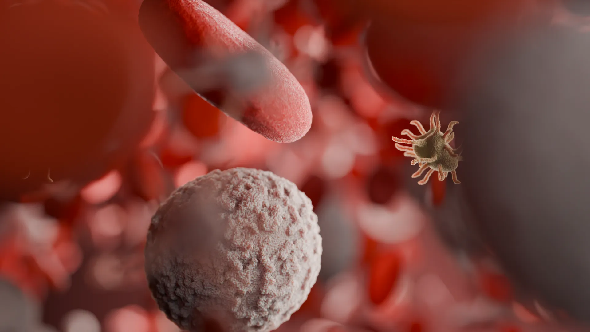 3D-Nahansicht von roten und weißen Blutkörperchen